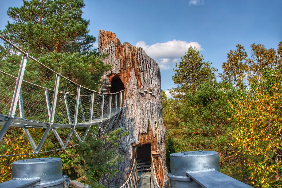Can You Climb the Great Synagogue Towers in Plzeň?
